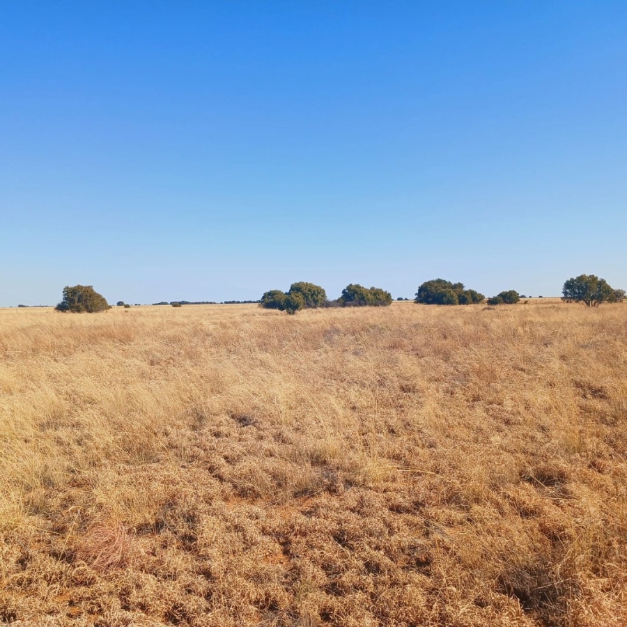 Commercial Property for Sale in Reivilo Northern Cape